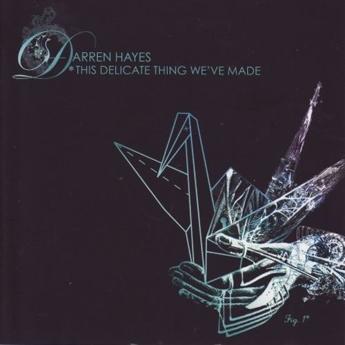  This Delicate Thing We've Made [CD]