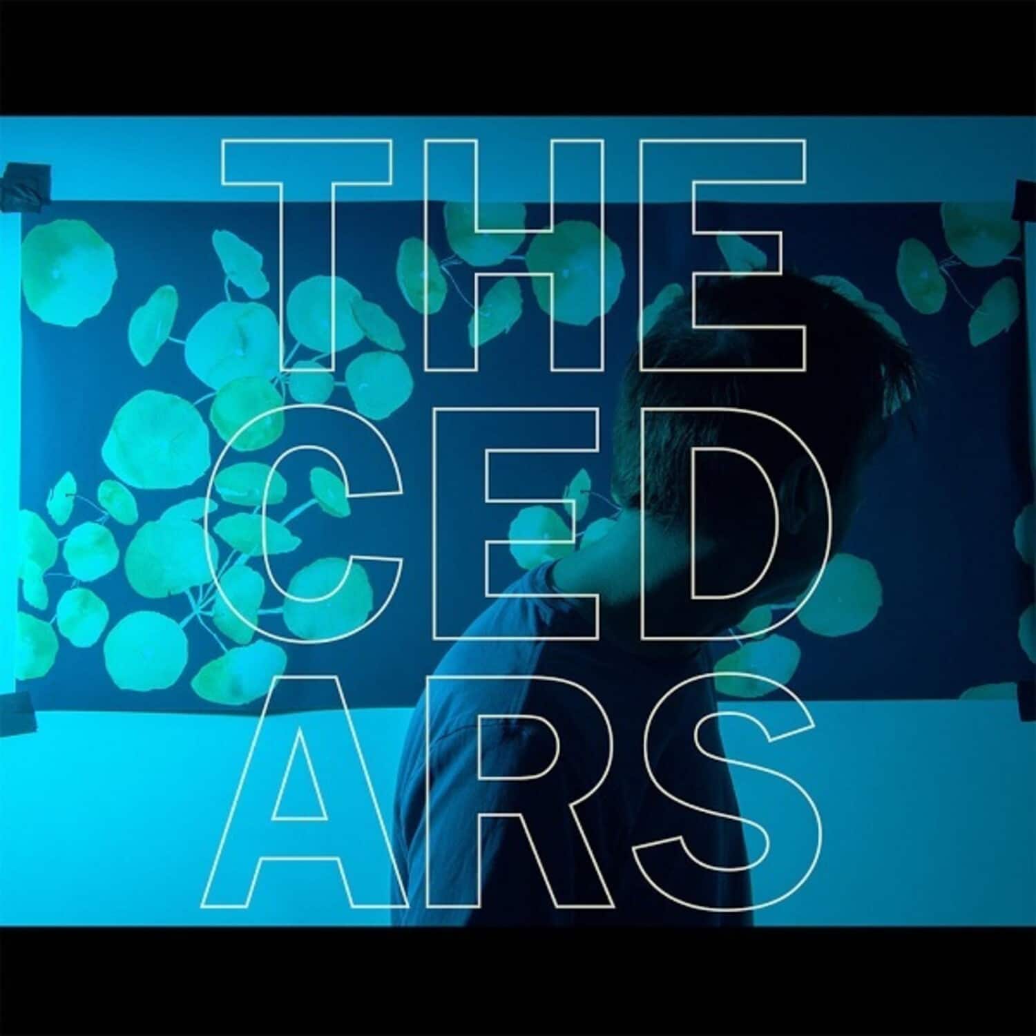 John Vanderslice - The Cedars   - VINYL LP price history on PriceWatchPro
