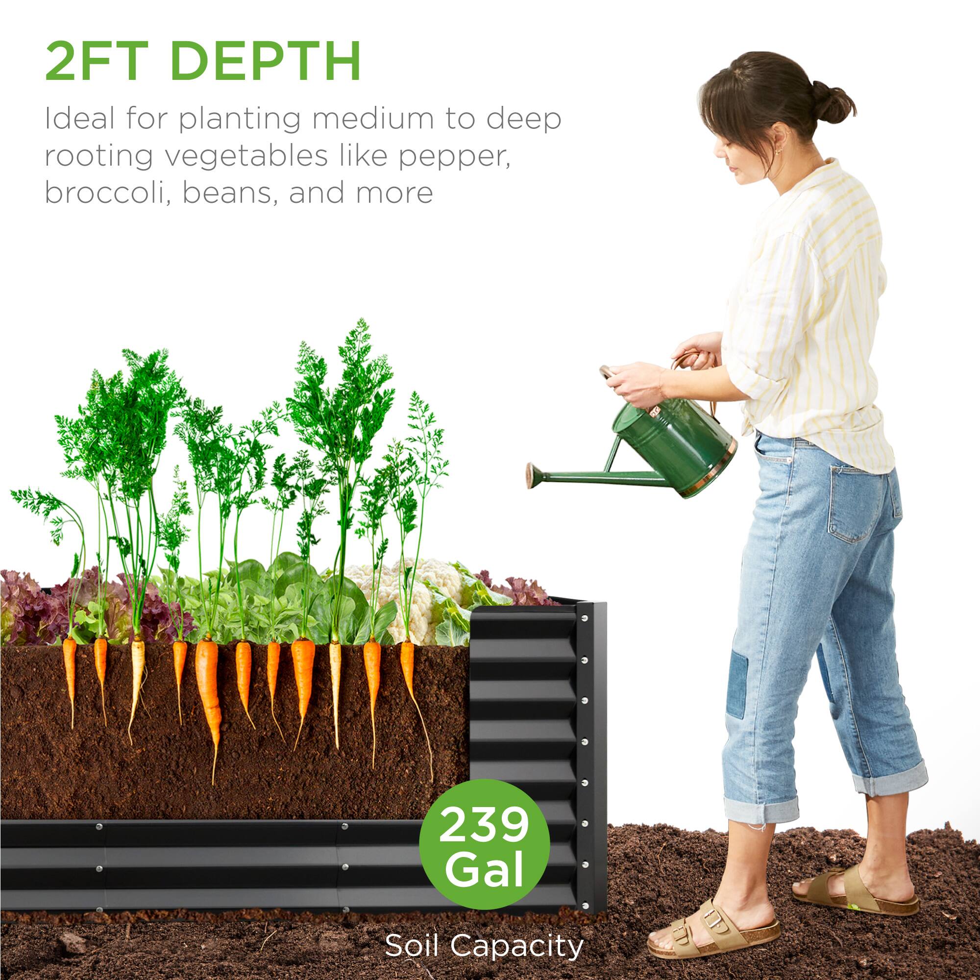 2FT DEPTH  
Ideal for planting medium to deep rooting vegetables like pepper, broccoli, beans, and more  

239 Gal  
Soil Capacity
