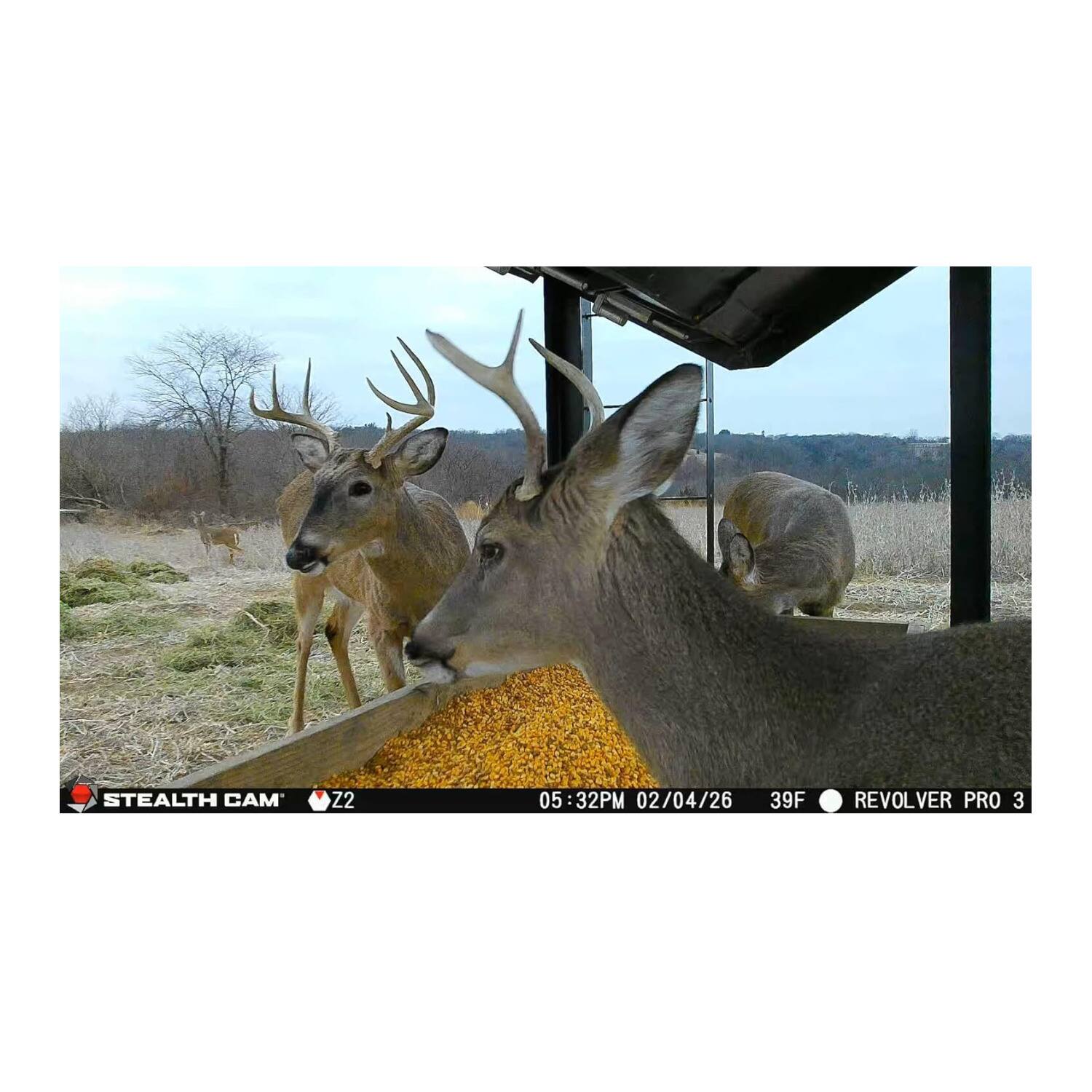 STEALTH CAM Z2  
05:32PM : 02/04/26  
39F  
REVOLVER PRO 3