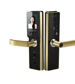 Cluzine - Aluminum Smart Door Knob Lock Tuya WiFi Fingerprint Card Password Hotel Lock