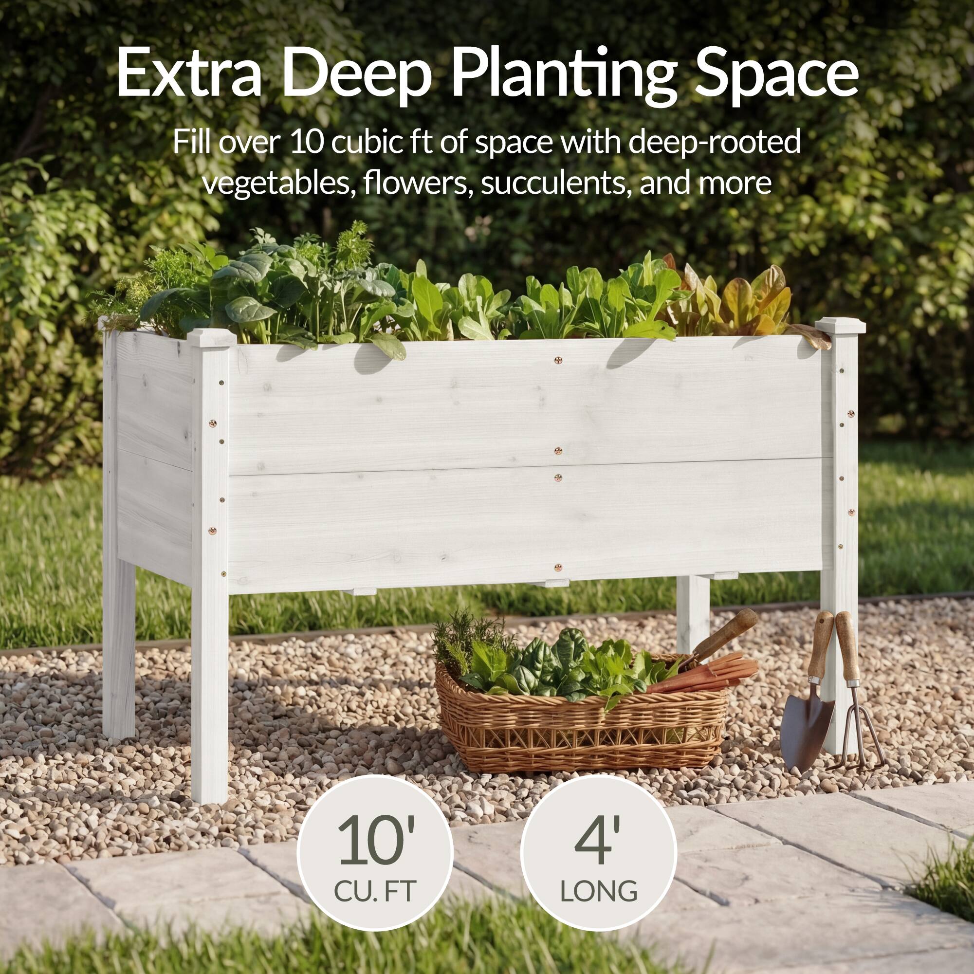 Extra Deep Planting Space

Fill over 10 cubic ft of space with deep-rooted vegetables, flowers, succulents, and more

10' CU. FT

4' LONG