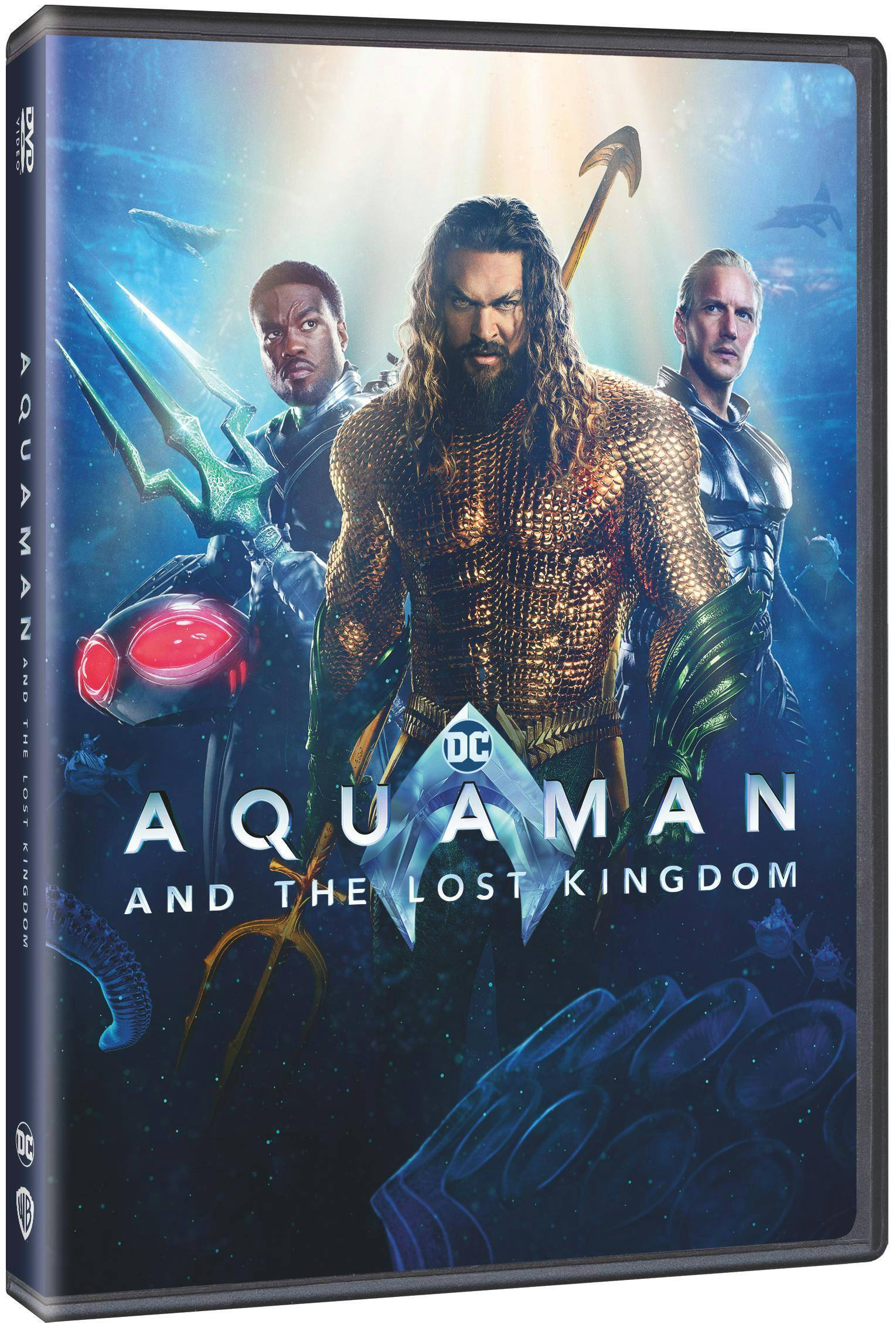 Angle. Aquaman and the Lost Kingdom [DVD].