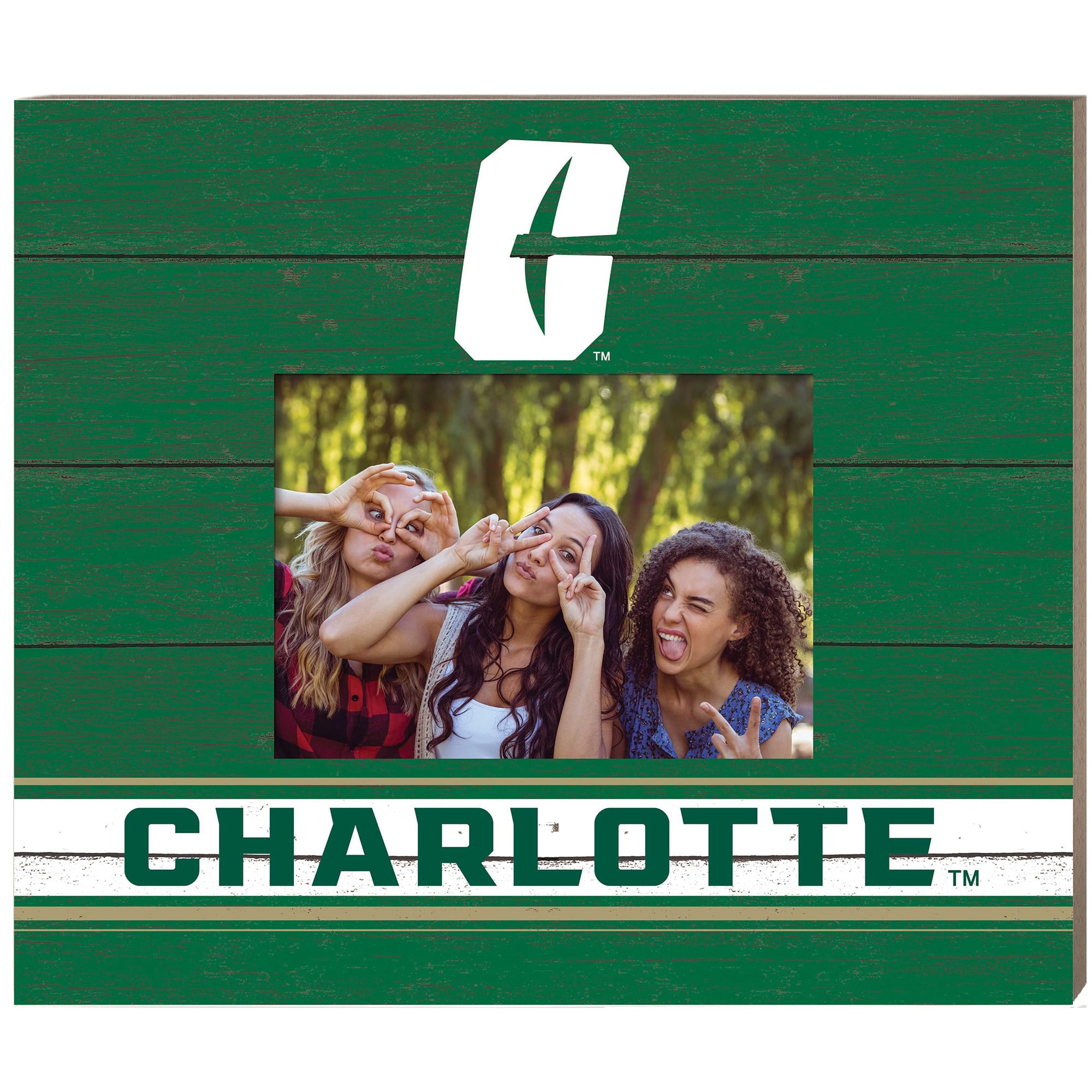 Jardine - Charlotte 49ers 11'' x 13'' Team Spirit Scholastic Picture Frame - Green price history on PriceWatchPro