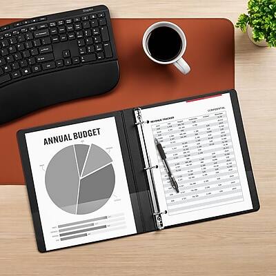 CONFIDENTIAL ANNUAL BUDGET