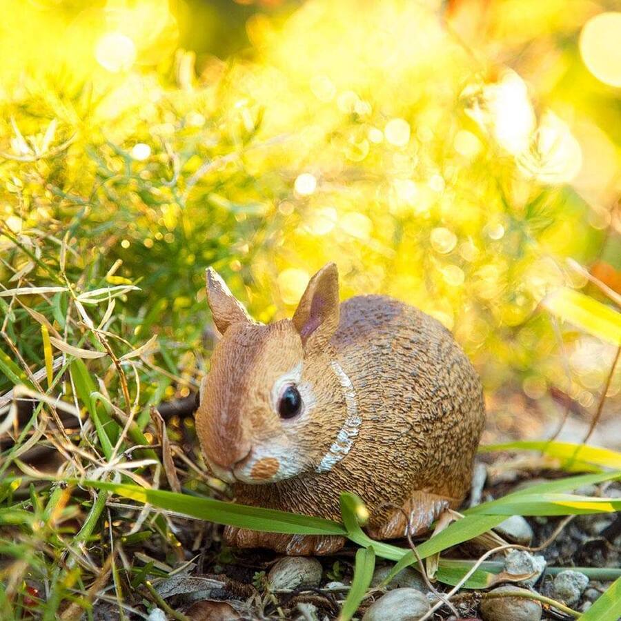 Wild Rabibit Safari Ltd. Eastern Cottontail Rabbit Baby - Best Buy