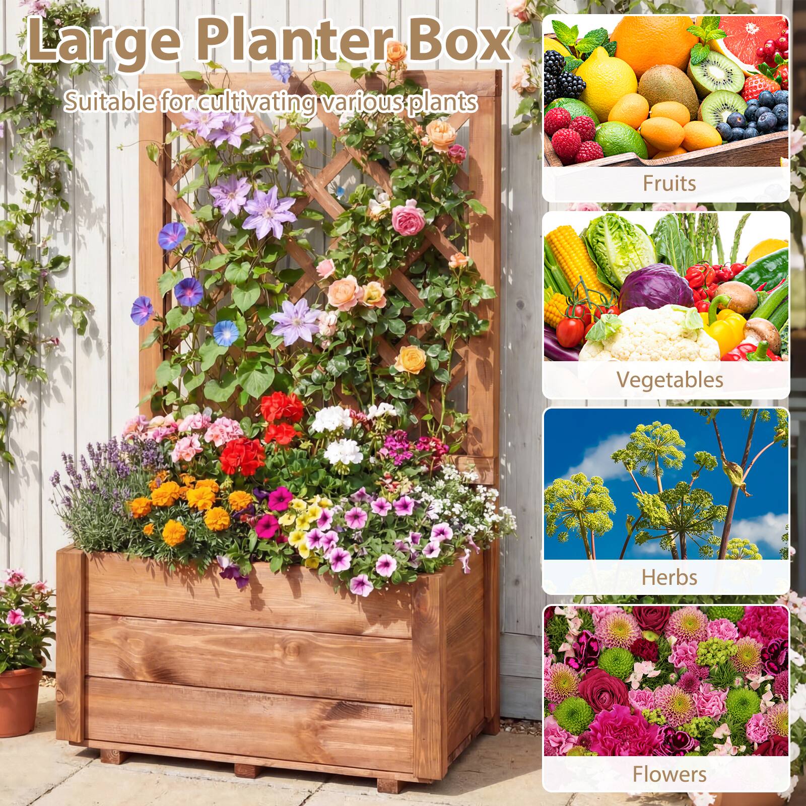 Large Planter Box  
Suitable for cultivating various plants  
- Fruits  
- Vegetables  
- Herbs  
- Flowers