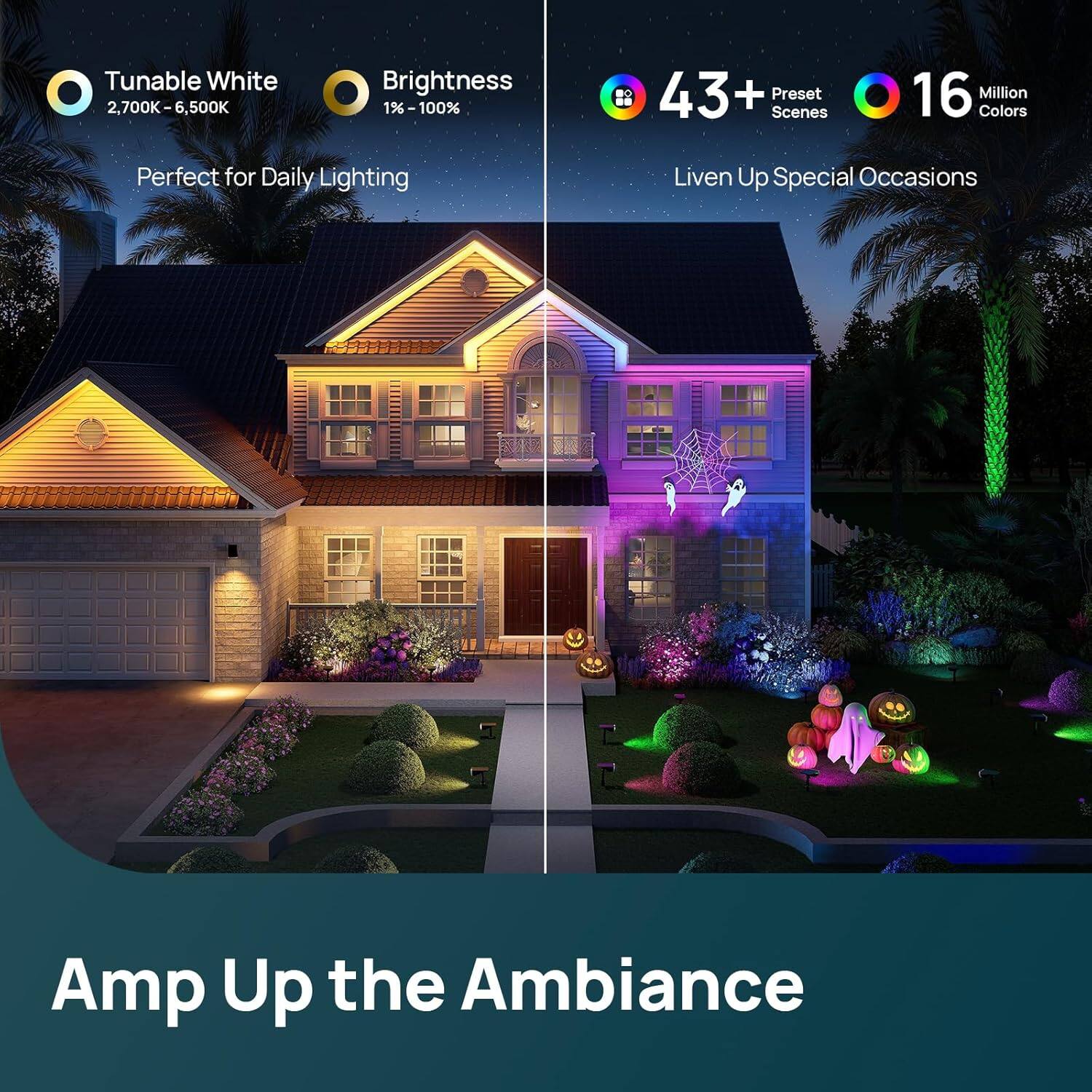 Tunable White  
2,700K-6,500K  

Brightness  
1%-100%  

Perfect for Daily Lighting  

43+ Preset Scenes  

16 Million Colors  

Liven Up Special Occasions  

Amp Up the Ambiance