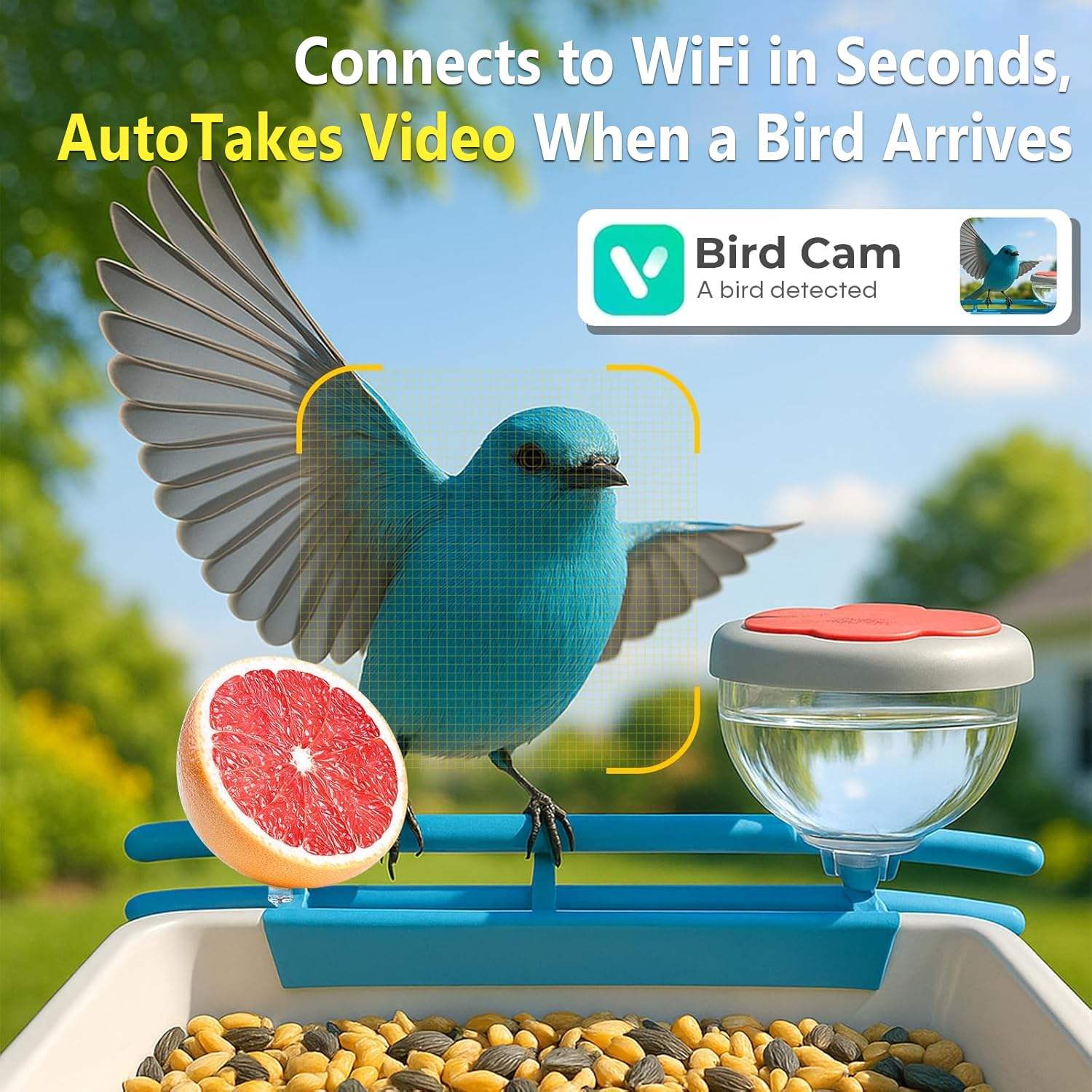 Connects to WiFi in Seconds, AutoTakes Video When a Bird Arrives

Bird Cam
A bird detected