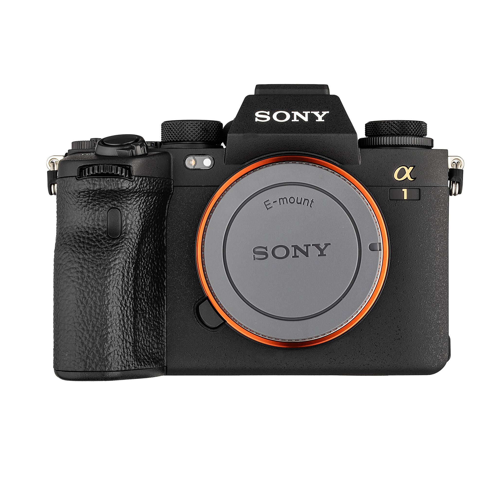 SONY E-mount  
1 SONY