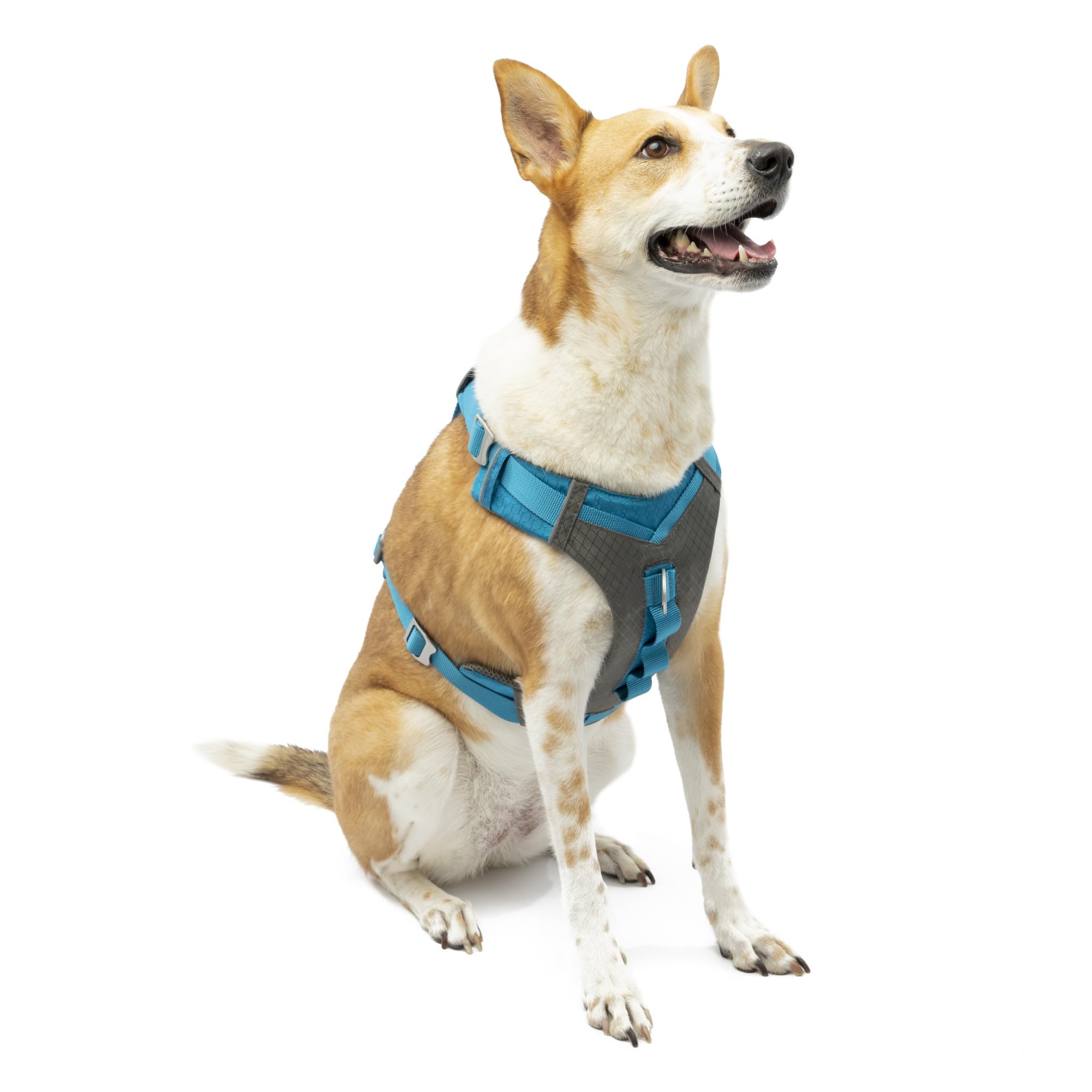 Alt View 1. Paradigms Interiors - Journey Air Dog Harness - Secure Fit For Active Dogs Padded Chest Ripstop Fabric Breathable Mesh Reflective - Coral-Large.