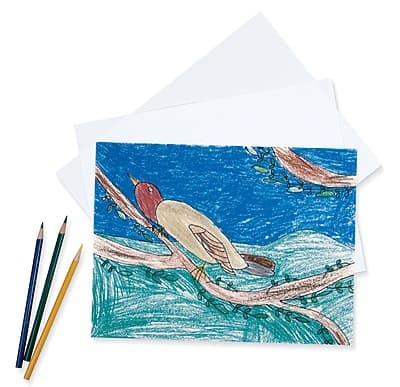 Pacon - Pacon® Medium Weight Drawing Paper, 9" x 12", (4709) - White