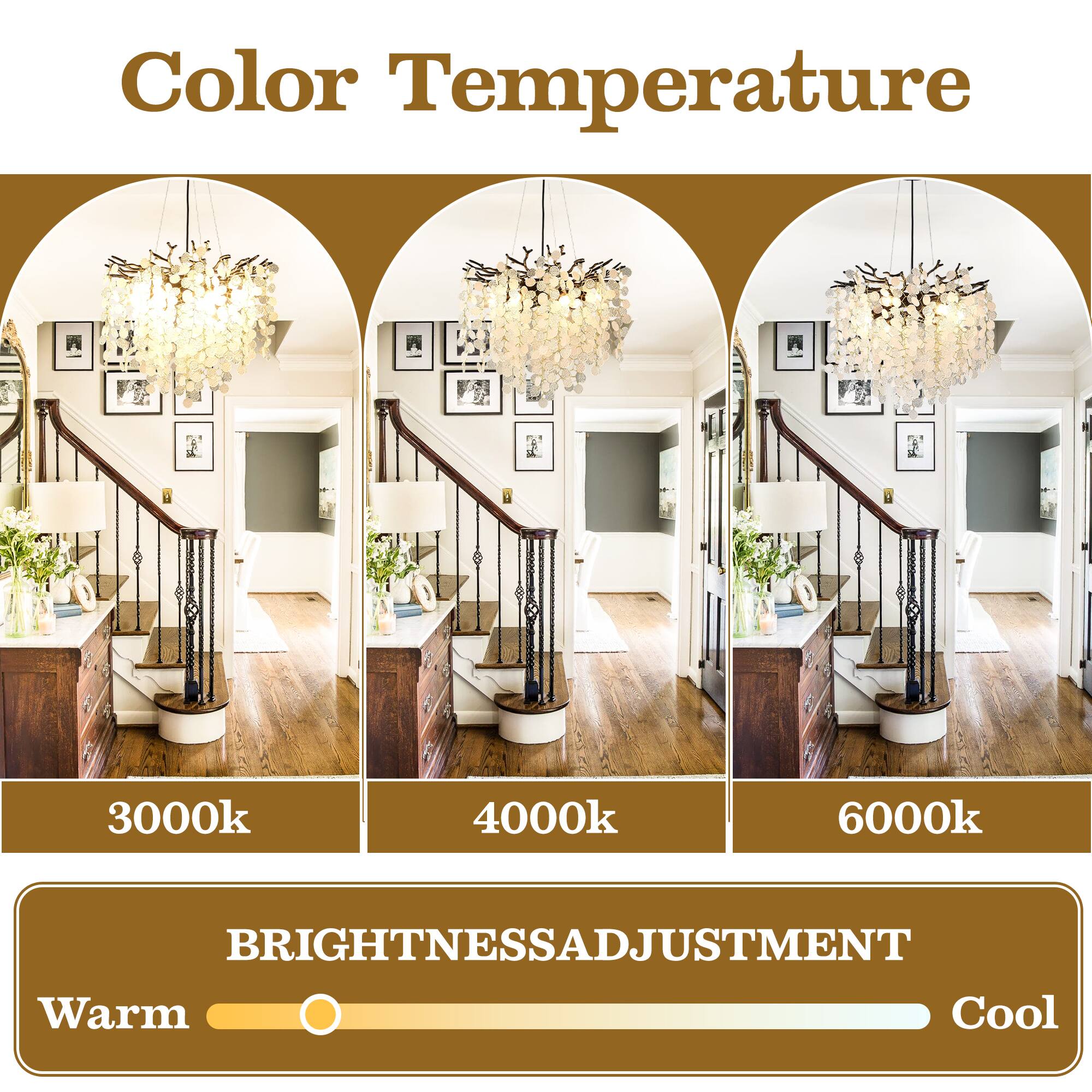 Color Temperature

3000k 4000k 6000k

BRIGHTNESS ADJUSTMENT

Warm Cool