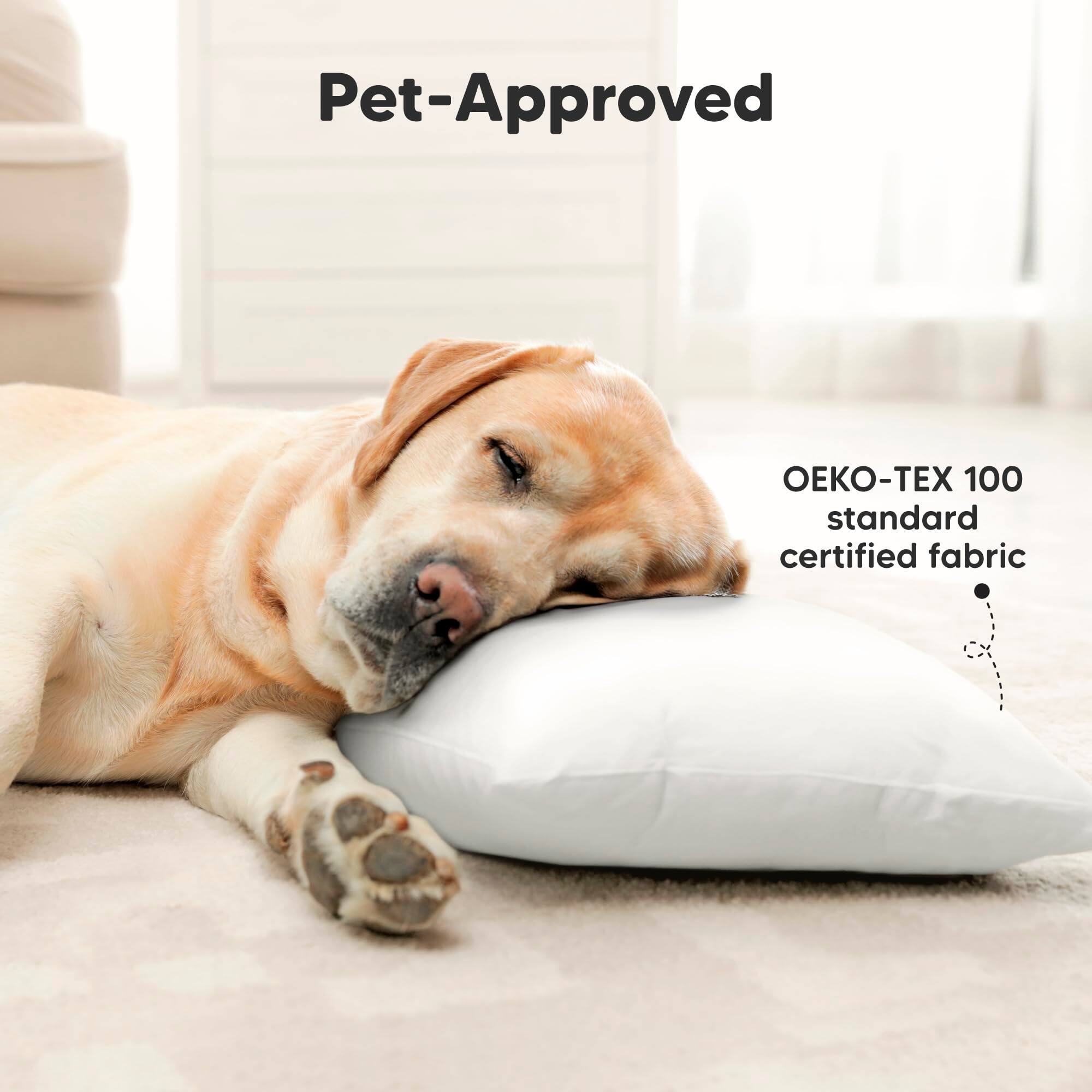 Pet-Approved

OEKO-TEX 100 standard certified fabric
