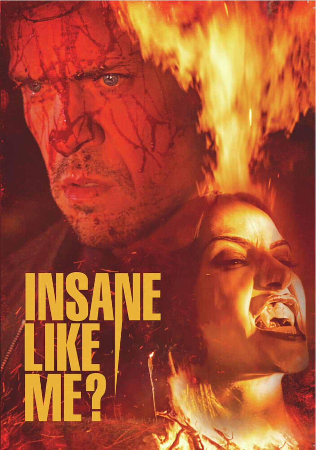 Insane Like Me?  - DVD