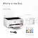 What's in the Box
EcoTank® ET-2900
All-in-One Supertank Printer
- 8.1"
- 22.2"
- 14.2"
Start Here Guide
Power Cord (USB not included)
EcoTank 522 Ink Bottles
We recommend genuine Epson ink for the best print quality and performance.