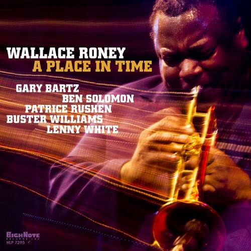 Wallace Roney - A Place In Time   - VINYL LP price history on PriceWatchPro