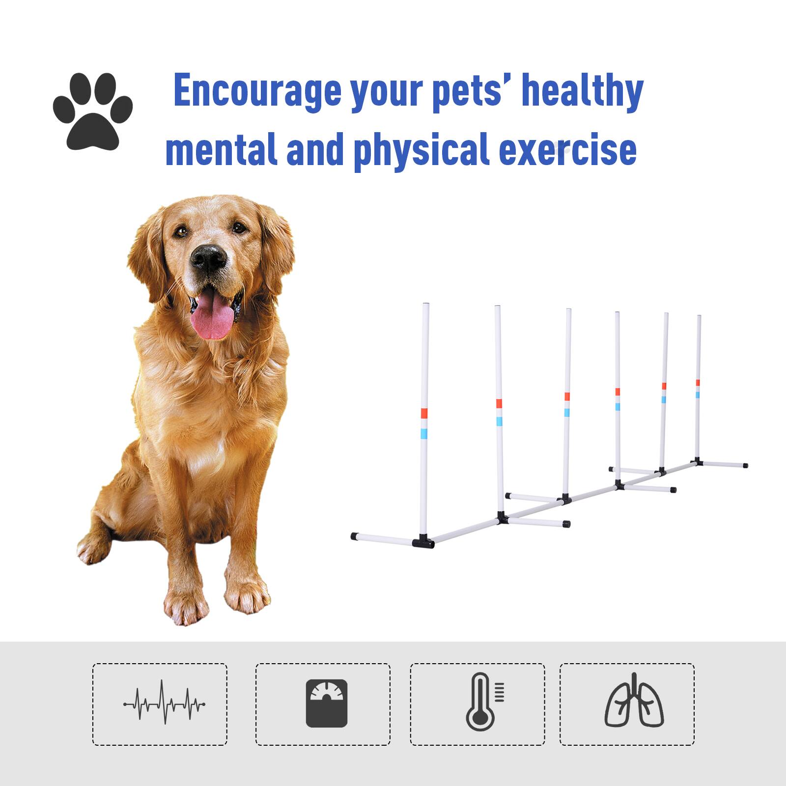 Encourage your pets' healthy mental and physical exercise