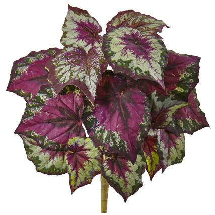 Front. BreeBe - 16" Wax Begonia Bush (Set of 6) - Green.