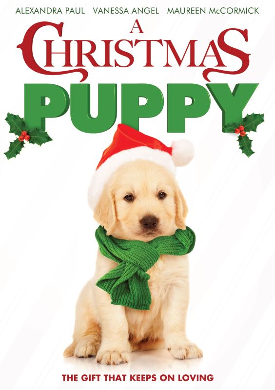 A Christmas Puppy [DVD] [2011]
