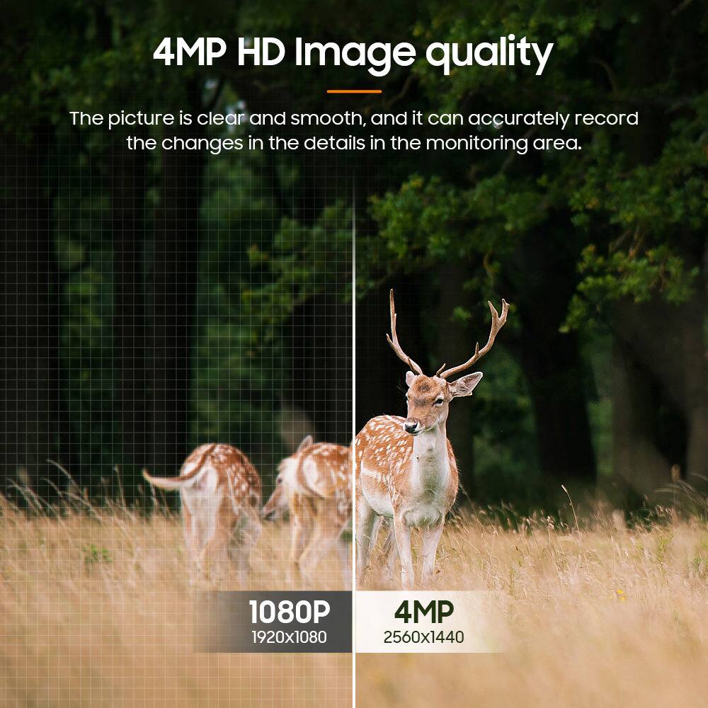 4MP HD Image quality

The picture is clear and smooth, and it can accurately record the changes in the details in the monitoring area.

1080P 1920x1080

4MP 2560x1440
