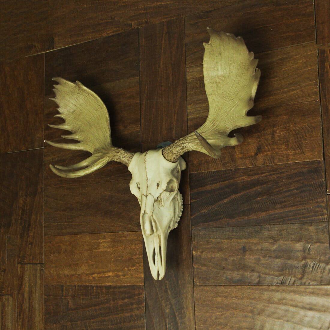 Alt View 5. World of Wonders - Large Lifelike Bull Moose Skull Hanging Wildlife Decor Statue - Off-white.