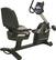 Angle Standard. Pro-Form - 290 CSR Recumbent Exercise Bike.
