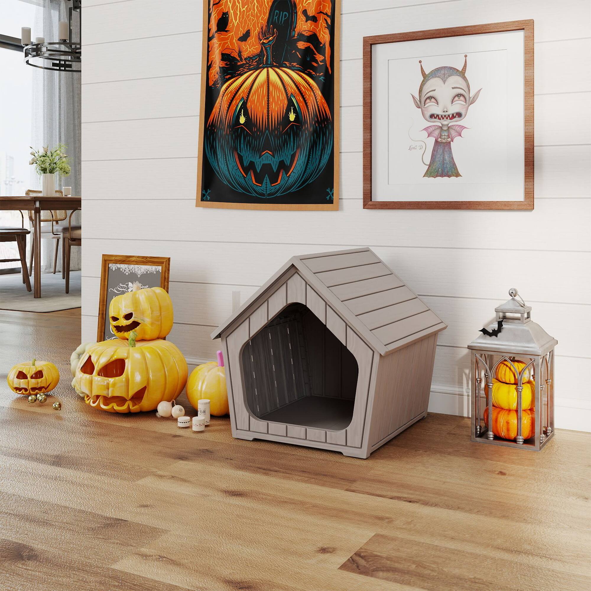 Left. Decksplore - All-Weather Resin Cat Shelter, Outdoor Protective House for Small/Medium/Large Cats, Easy Setup.