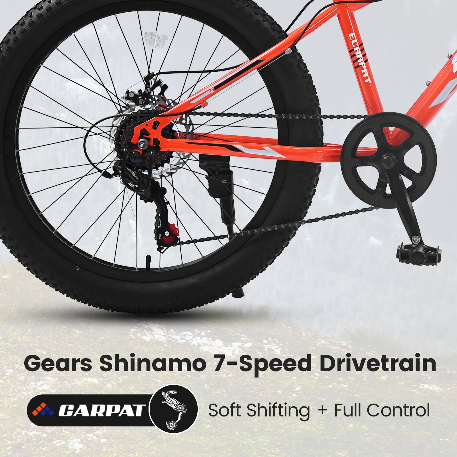 Gears Shinamo 7-Speed Drivetrain  
CARPAT  
Soft Shifting + Full Control