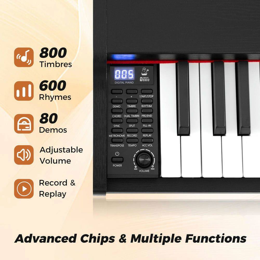 800 Timbres  
600 Rhymes  
80 Demos  

Adjustable Volume  
Record & Replay  

Advanced Chips & Multiple Functions