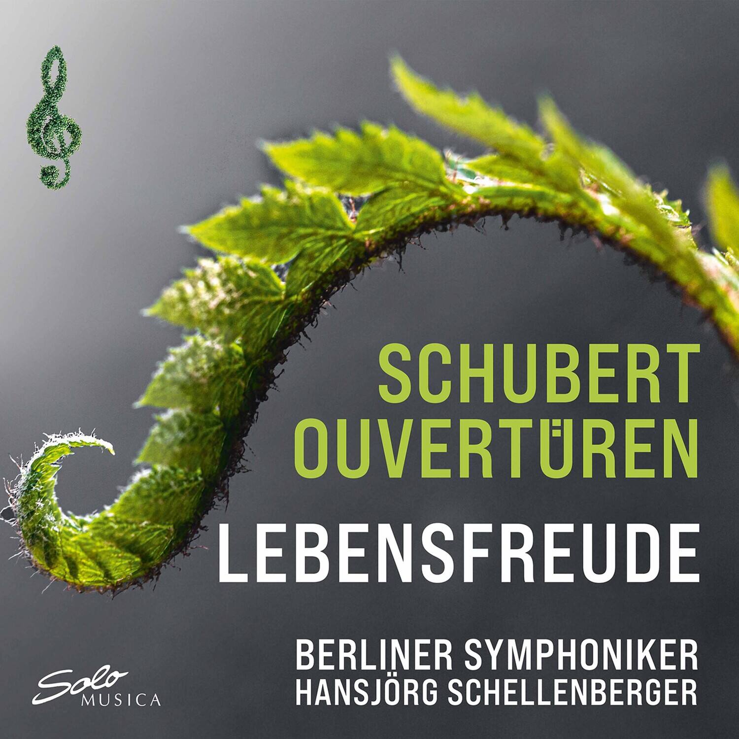 SCHUBERT  
OUVERTÜREN  
LEBENSFREUDE  

BERLINER SYMPHONIKER  
HANSJÖRG SCHELLENBERGER  

Solo MUSICA
