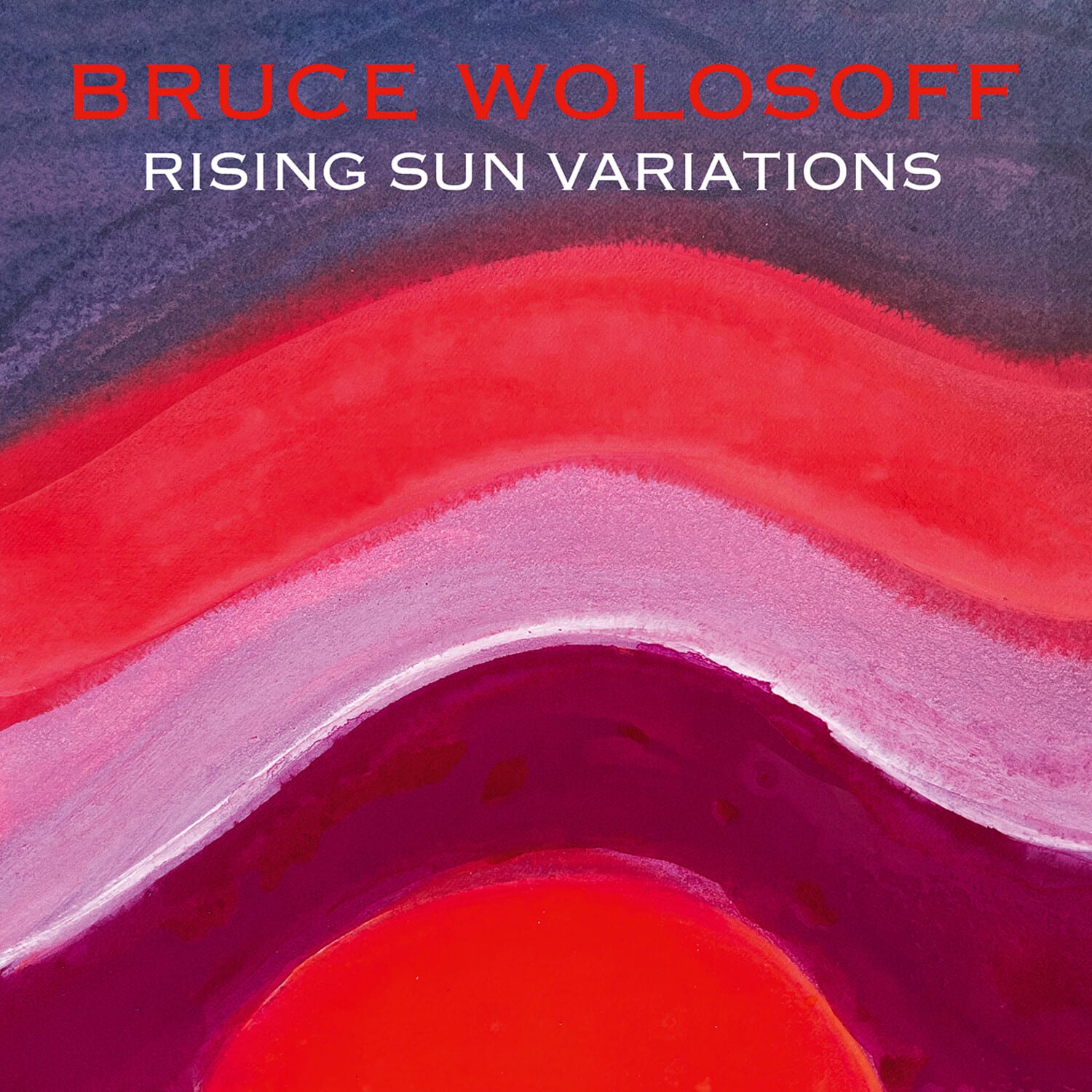 Bruce Wolosoff - Wolosoff: Rising Sun Variations   - COMPACT DISCS [CD] price history on PriceWatchPro