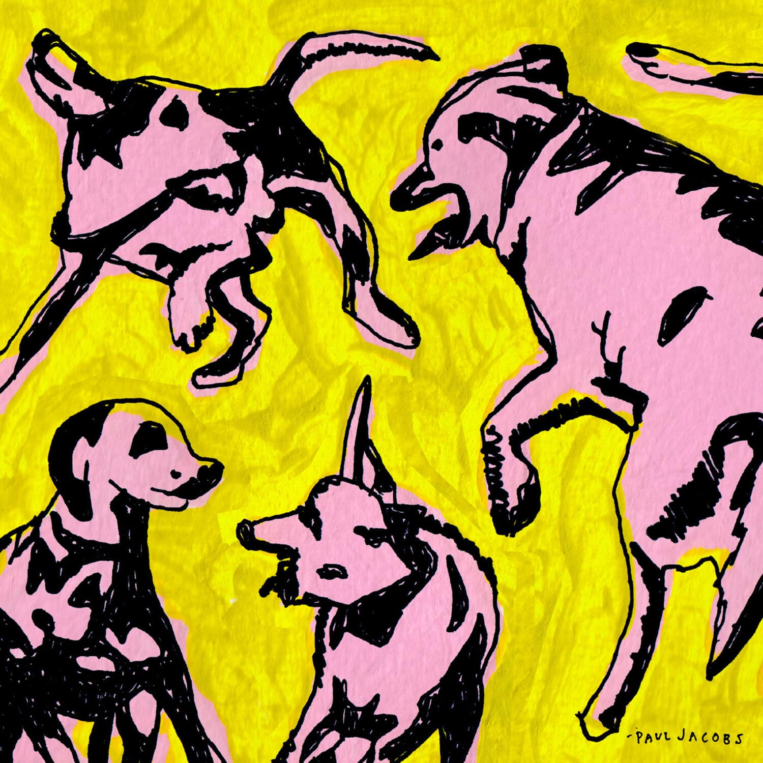 Paul Jacobs - Pink Dogs on the Green Grass   - COMPACT DISCS [CD] price history on PriceWatchPro