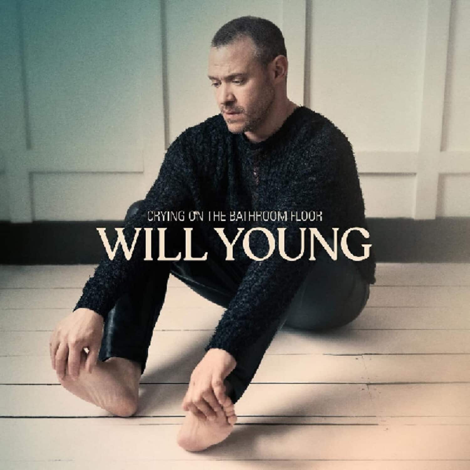 Will Young - Crying On The Bathroom Floor   - VINYL LP price history on PriceWatchPro