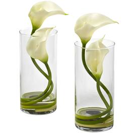 BreeBe - Double Calla Lily w/Cylinder (Set of 2) - Cream