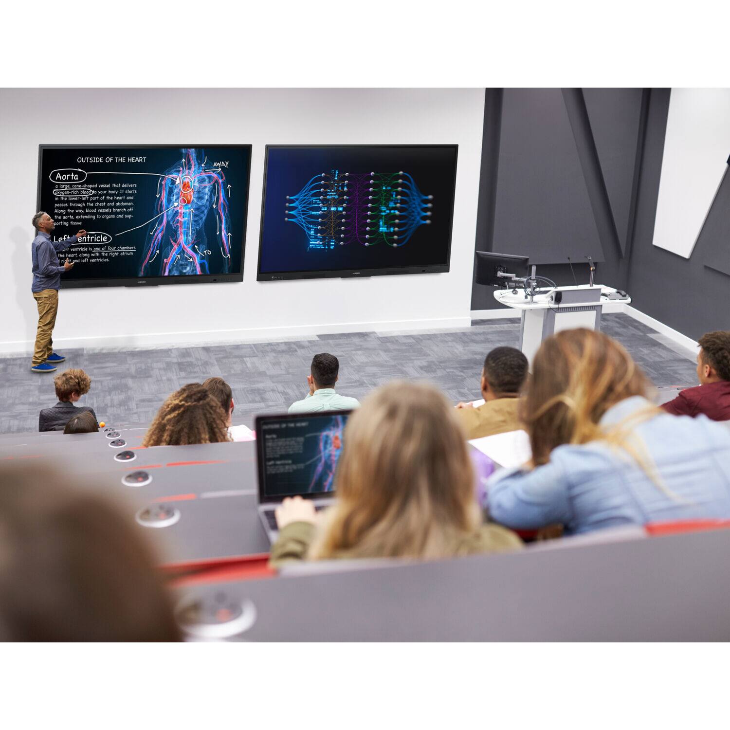 OUTSIDE OF THE HEART

Aorta
The aorta is the largest artery in the body. It carries oxygen-rich blood from the left ventricle of the heart and distributes it to the rest of the body. It branches into the coronary arteries, which supply blood to the heart muscle itself, and then into the systemic circulation, which supplies blood to the rest of the body.

Left ventricle
The left ventricle is one of the four chambers of the heart. It pumps oxygenated blood into the aorta and then to the rest of the body.