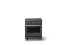 Viking - 30 in. Wide 4 Elements Pro 5 Series 4.7 Cu.Ft. Freestanding Electric Convection Range - w. Brushed Brass Trim - Cast Black