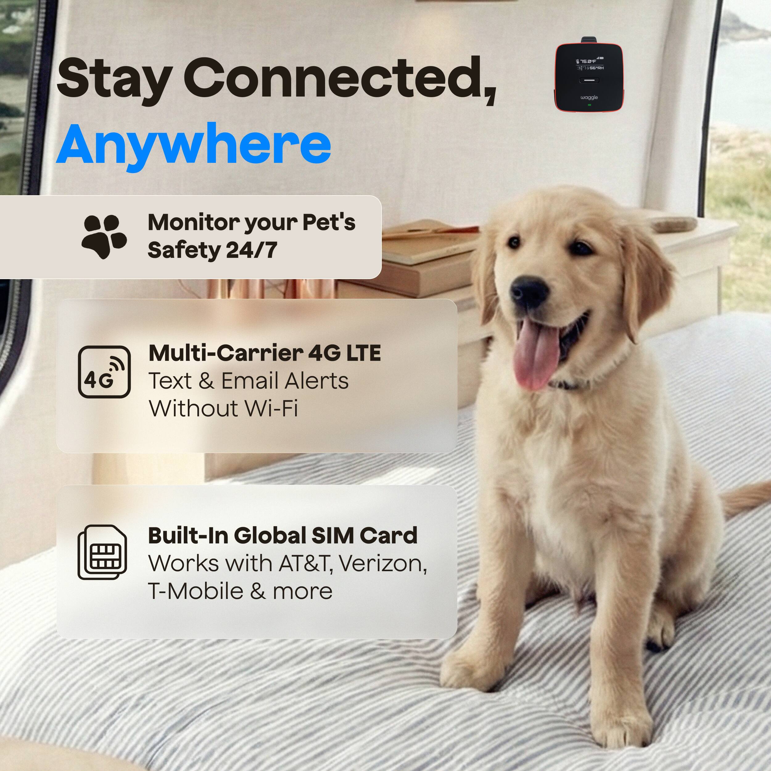 Stay Connected, Anywhere

Monitor your Pet's Safety 24/7

Multi-Carrier 4G LTE
Text & Email Alerts
Without Wi-Fi

Built-In Global SIM Card
Works with AT&T, Verizon, T-Mobile & more