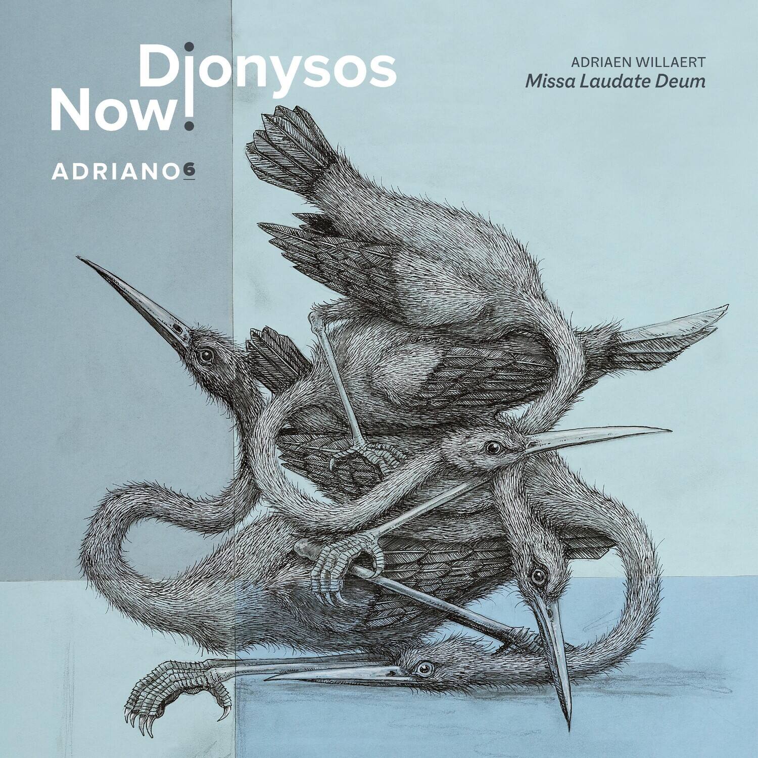 Athelas Sinfonietta - Adriano 6  - COMPACT DISCS