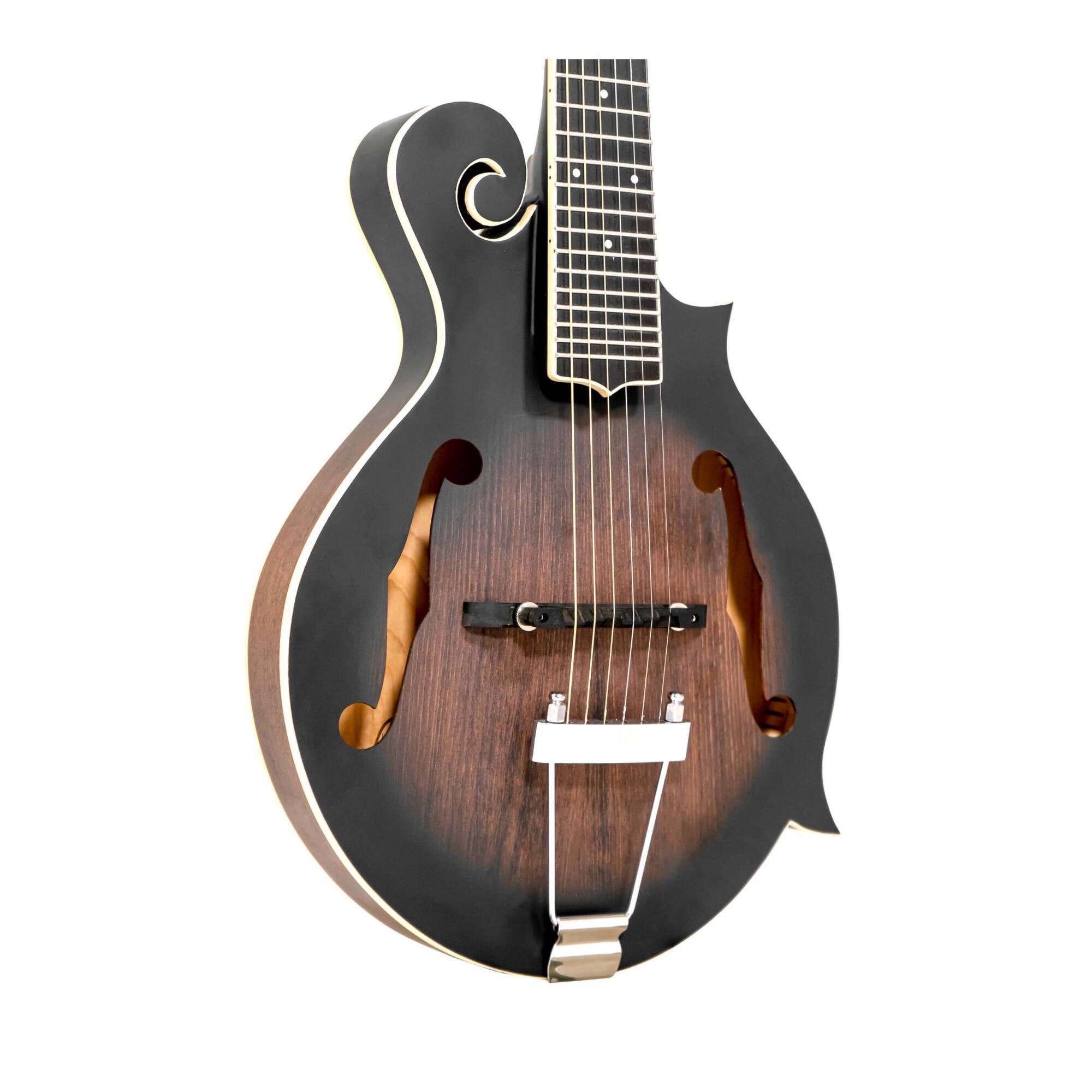 Angle. Gold Tone - Gold Tone F-6: 6-string F-style Mando-Guitar with Pickup and Case.