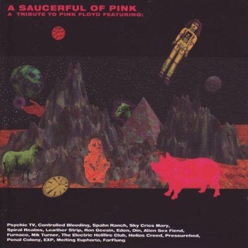 Pink Floyd Cd - Pink Is The Pig