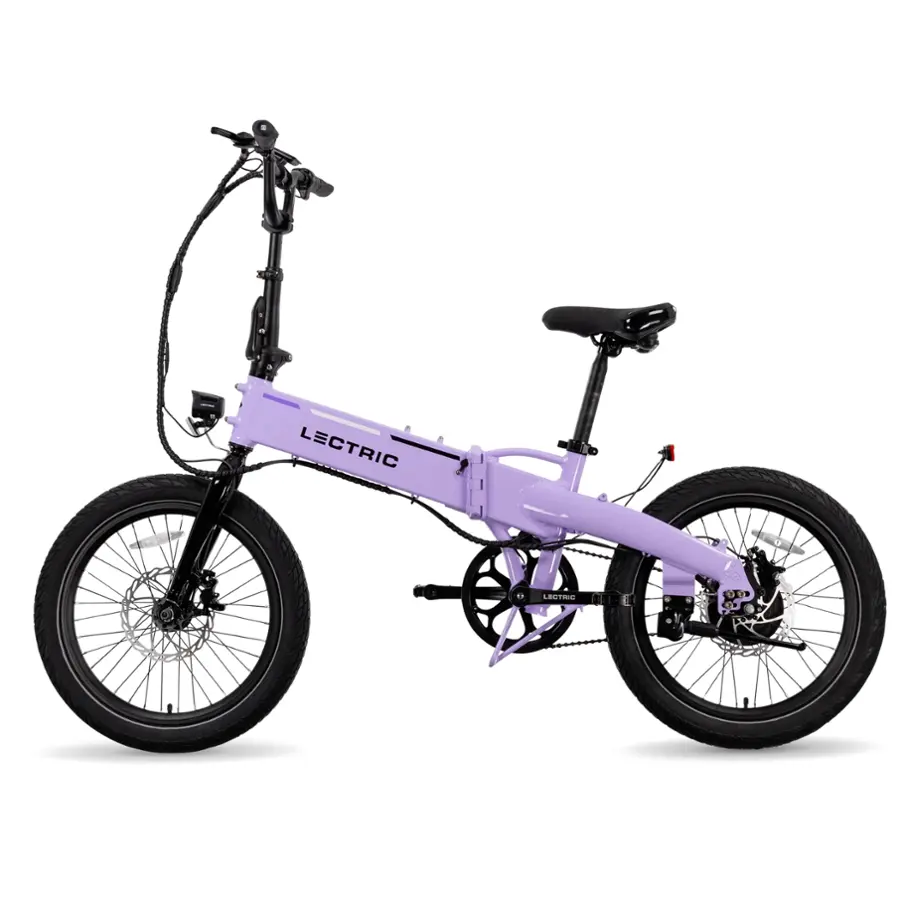 LECTRIC LEUTE 1