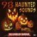 Front Standard. 98 Haunted Sounds [CD].