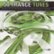 Front Standard. 50 Trance Tunes, Vol. 2 [CD].