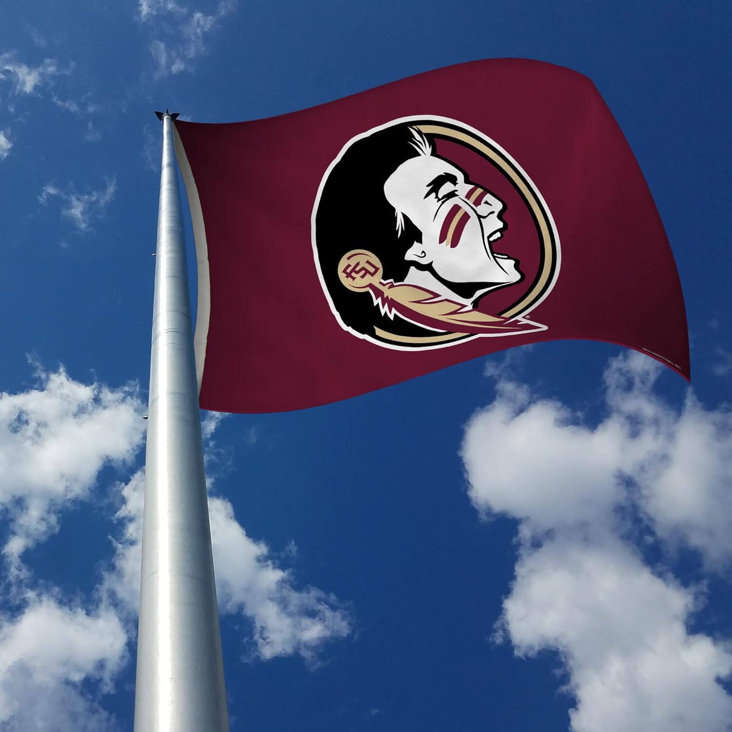 Alt View 1. Rico Industries - Florida St. Seminole's 3-Foot by 5-Foot Single Sided Indoor or Outdoor Banner Flag with Grommets - Multi.