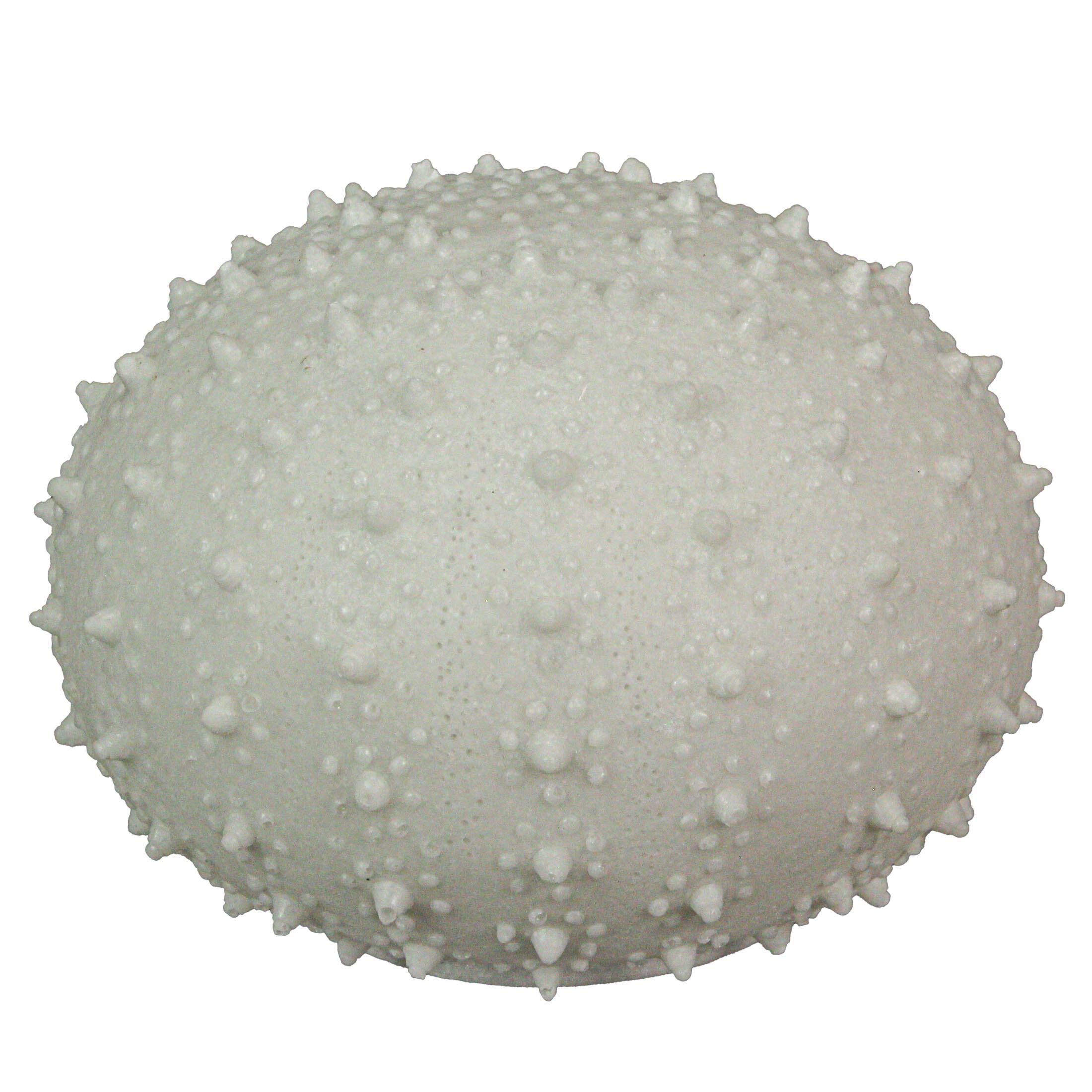 Front. Contrast Inc. - 8.5 Inch Resin LED Sea Urchin Accent Lamp Decorative Sea Table Light Nautical Home Decor - White.