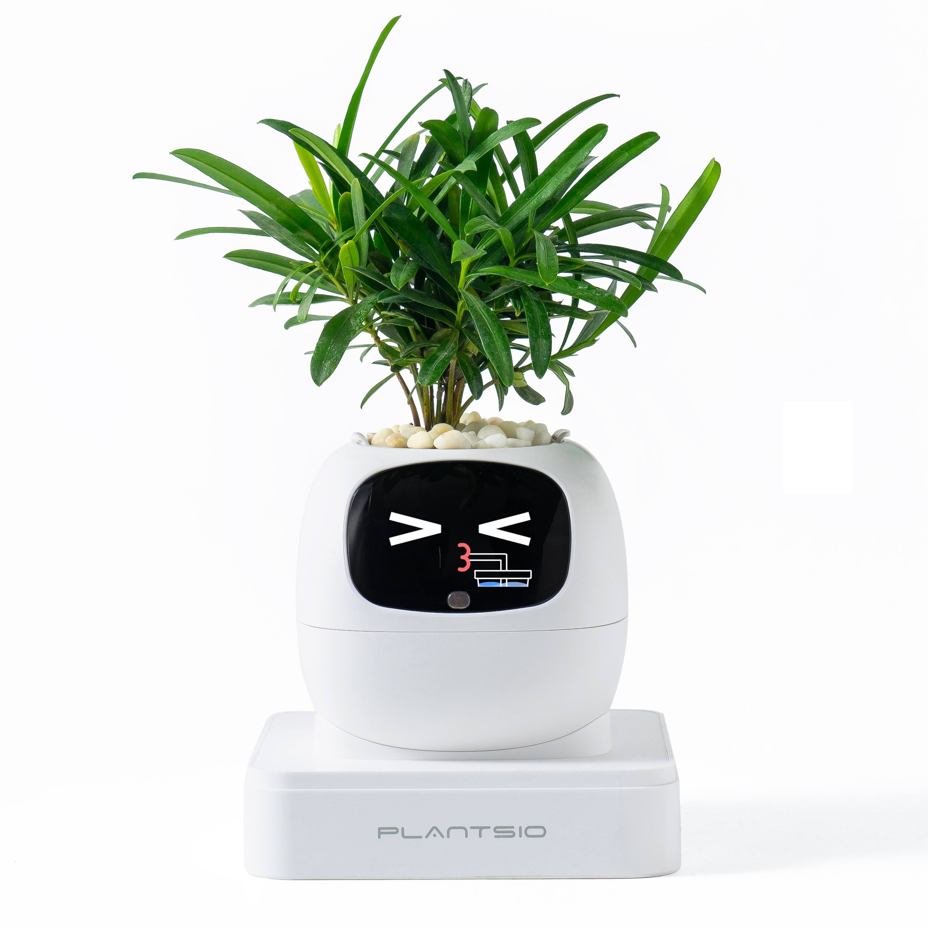 PlantsIO - Ivy Gen 2 Smart Planter-WHITE