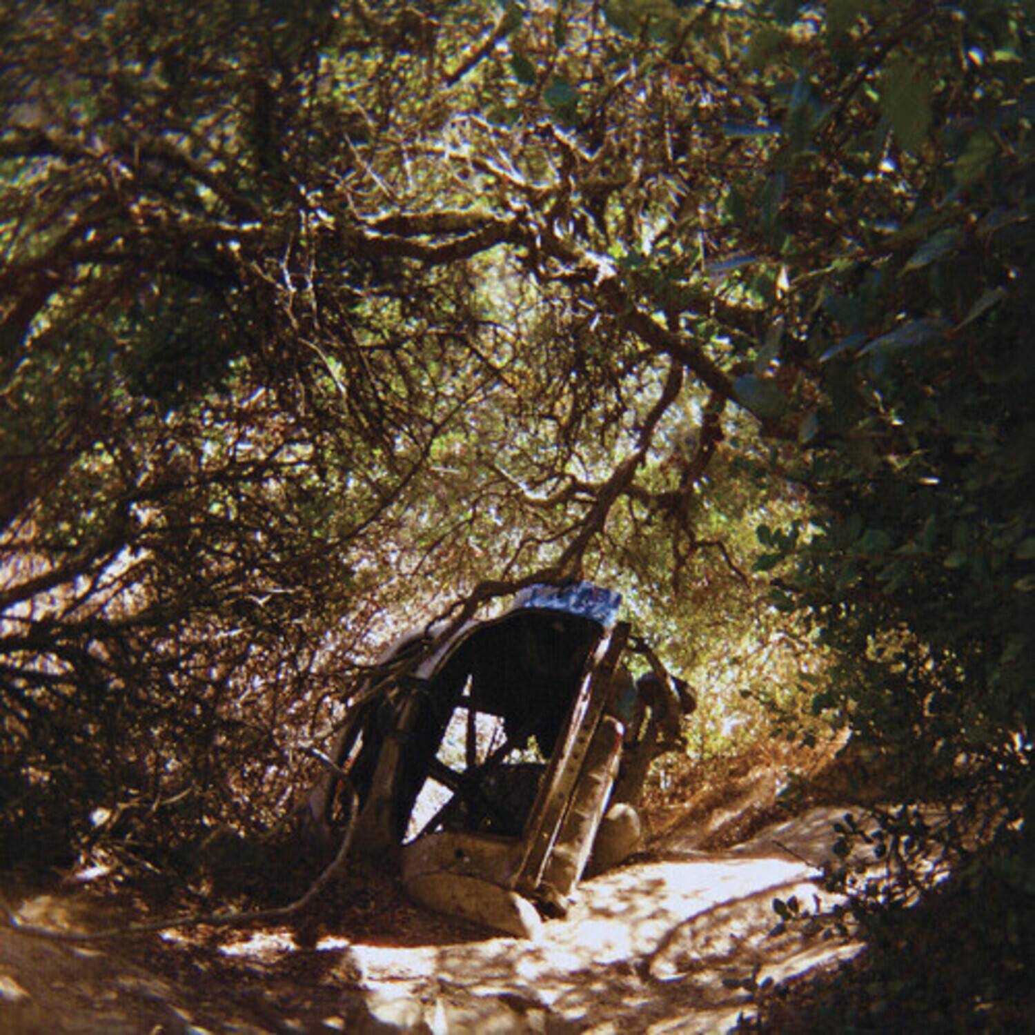 Alt View 1. Ty Segall - Possession   - CASSETTES .