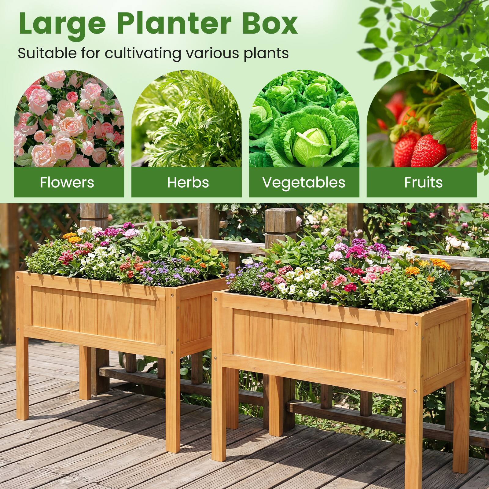 Large Planter Box  
Suitable for cultivating various plants  
Flowers  
Herbs  
Vegetables  
Fruits