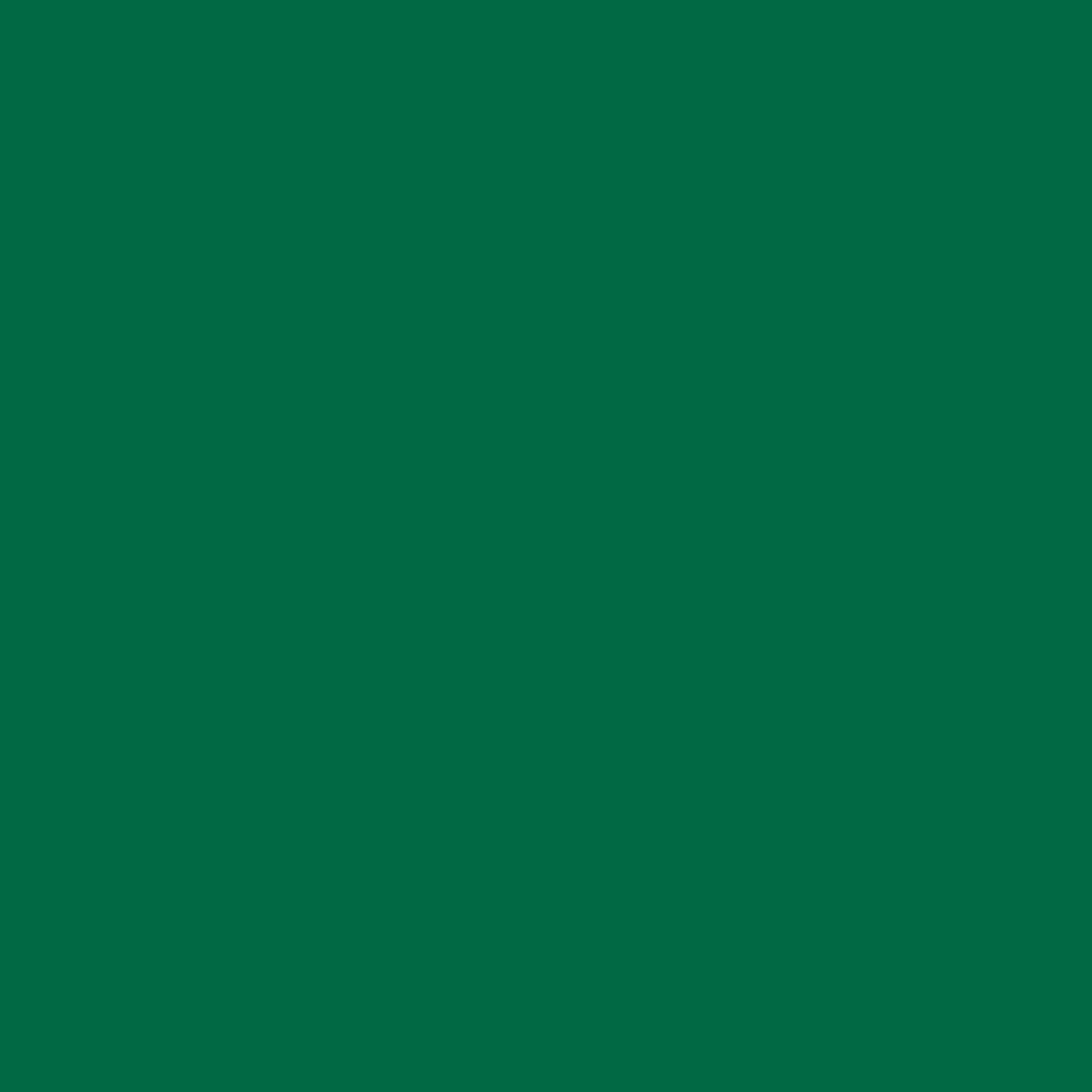 "Rosco - Storaro Color Effects Lighting Filter, 20x24"" Sheet, #2004 VS Green" price history on PriceWatchPro